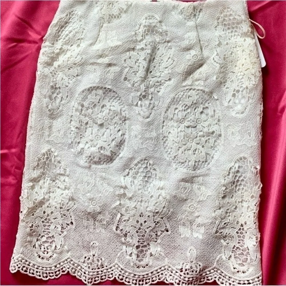 L'ATISTE Elegant Lace Top with Matching Skirt - Picture 12 of 13